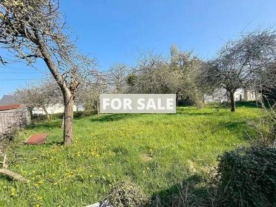 Habitable Detached House with More Potential