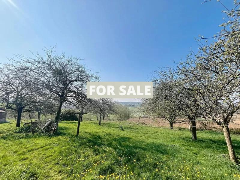 Habitable Detached House with More Potential