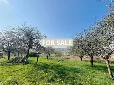 Habitable Detached House with More Potential