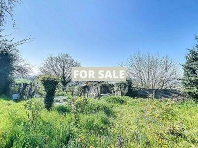 Habitable Detached House with More Potential