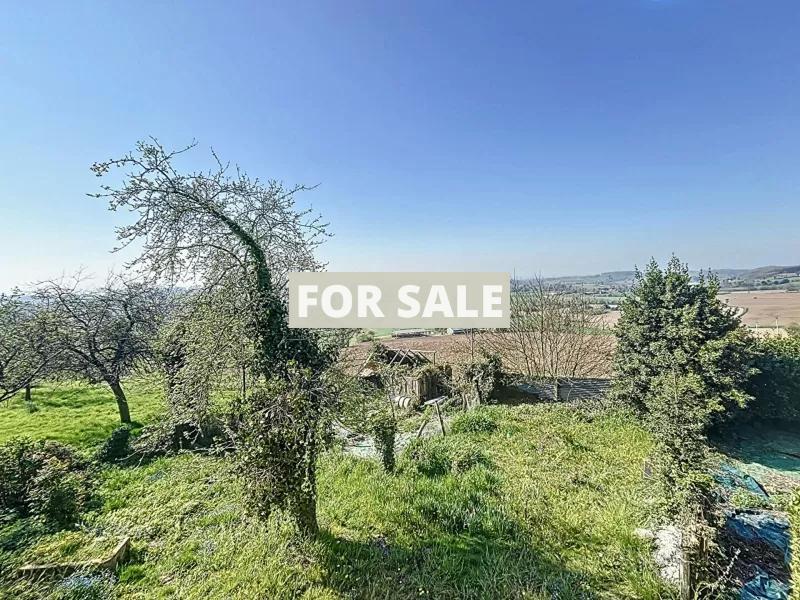 Habitable Detached House with More Potential