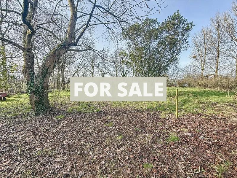 Property For Sale