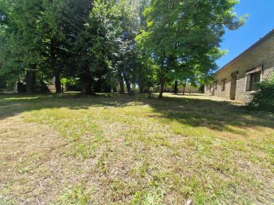 Chateau Plus a House, Outbuildings in 6 Hectares