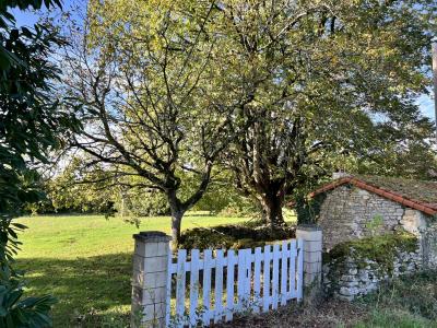 House And Barn To Renovate in Large Garden