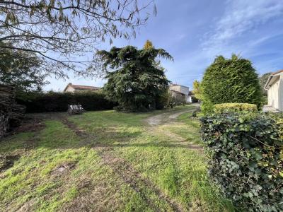 Single Storey Detached House with Garden