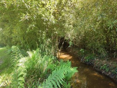 Maison De Maitre With Beautiful Garden
