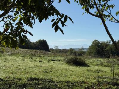 Beautiful Family House with Guest Gite and Pool