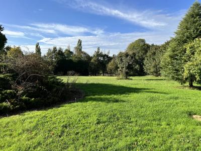 House And Barn To Renovate in Large Garden