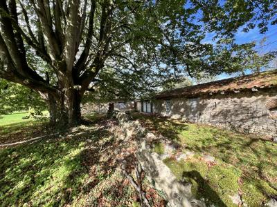 House And Barn To Renovate in Large Garden