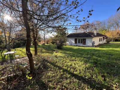 Two Houses in One Hectare of Countryside