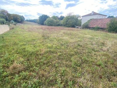 Building Plot For Sale in Popular Village