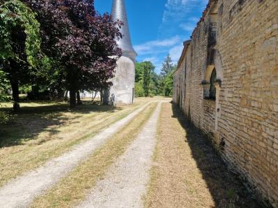 Chateau Plus a House, Outbuildings in 6 Hectares