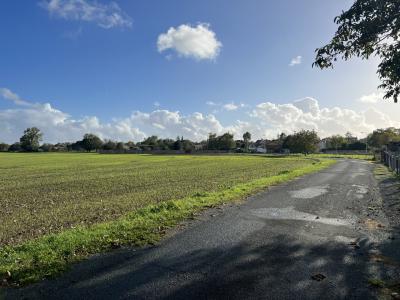 Building Land For Sale, Great Location