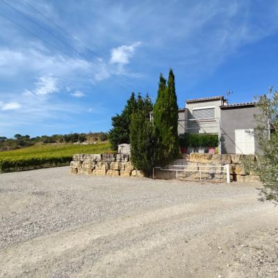 Two Houses in 34 Hectares of Vineyards