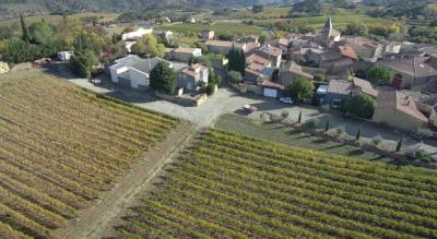 Two Houses in 34 Hectares of Vineyards