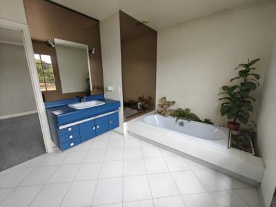 Apartment in Great Location