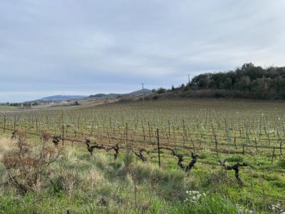 Exceptional Property with Land