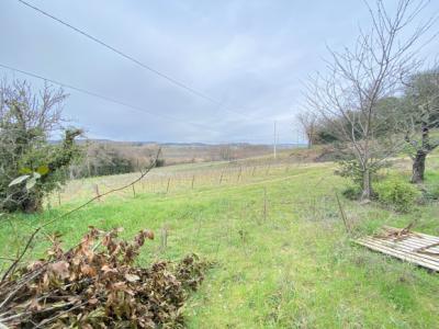 Exceptional Property with Land