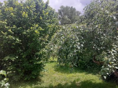 Detached House With Garden And Garage