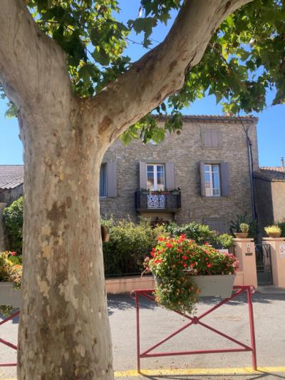 Mansion House With Garden And Terrace