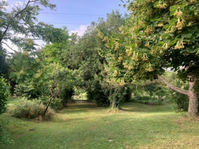 Property in Wooded Park of 2 Hectares with Outbuilding, Water Sources And Lake