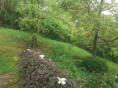 House In The Heart Of Nature of One Hectare
