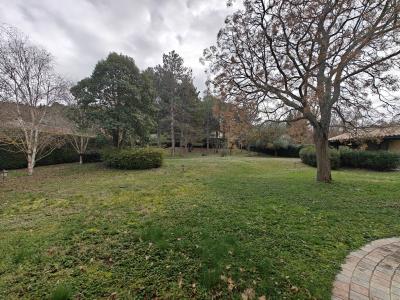 Beautiful Detached Villa with Character