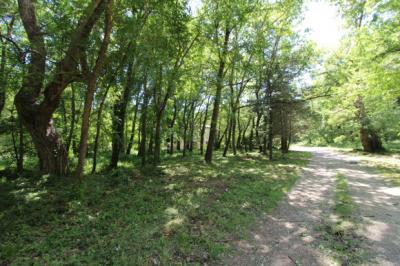 Country House With 1.8 Hectares of Land