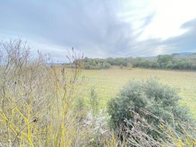 Exceptional Property with Land