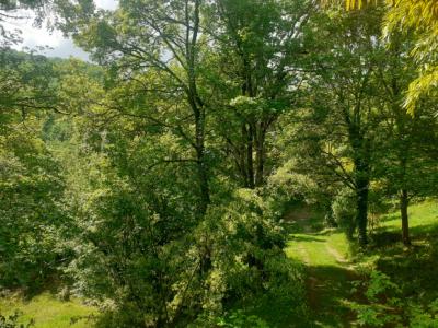 House In The Heart Of Nature of One Hectare