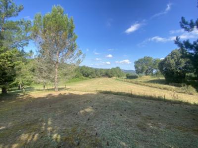 Detached Villa Surrounded By Nature, Wooded And Garden