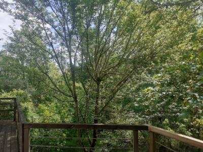 House In The Heart Of Nature of One Hectare