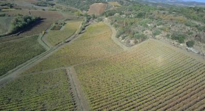 Two Houses in 34 Hectares of Vineyards