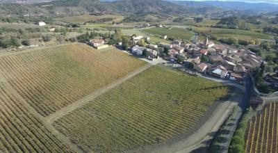 Two Houses in 34 Hectares of Vineyards