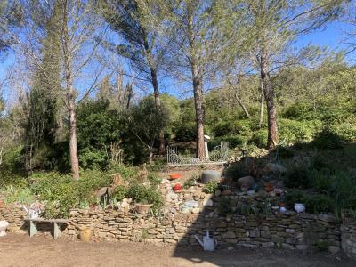 Beautiful Detached House in Green Environment