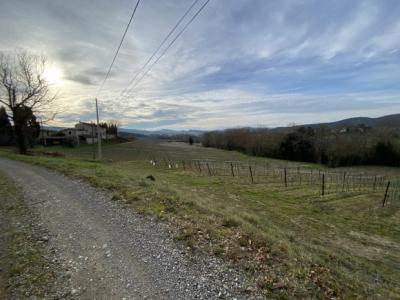 Exceptional Property with Land