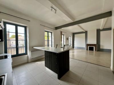 Apartment close to the Canal du Midi