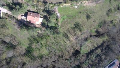 Beautiful Detached House in Green Environment