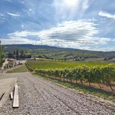 Two Houses in 34 Hectares of Vineyards