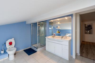 Detached Villa with Swimming Pool
