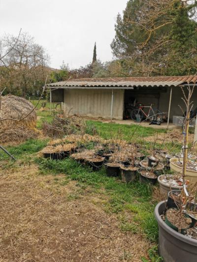 Charming Villa with Garden