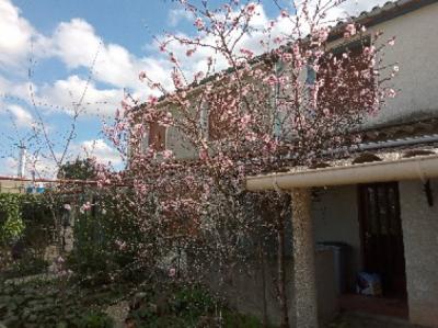 Detached House With Garden & Terrace plus Garage