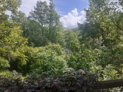 House In The Heart Of Nature of One Hectare