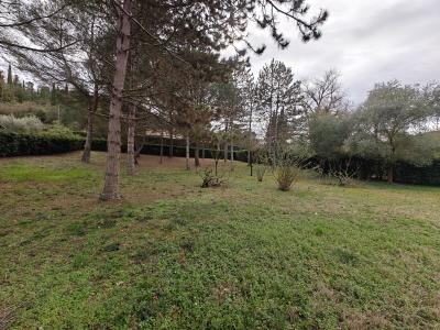 Beautiful Detached Villa with Character