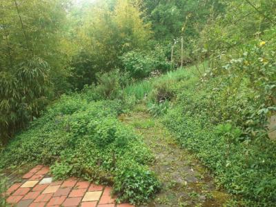House In The Heart Of Nature of One Hectare