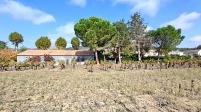 House in Perfect in Condition within the Vineyards