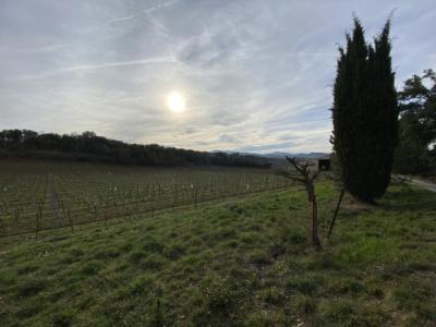 Exceptional Property with Land