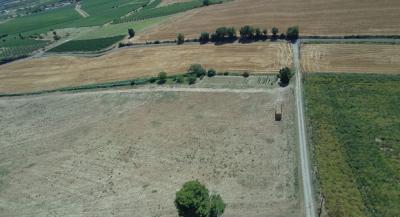 Country House with Lots of Land and Outbuildings