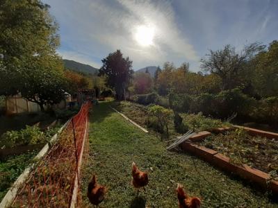 Fully Restored House With Character and Separate Garden