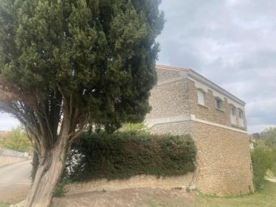 Two Houses With Outbuildings On An Enclosed Garden